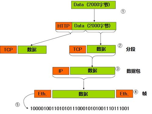計算機網(wǎng)絡基礎與IP地址配置